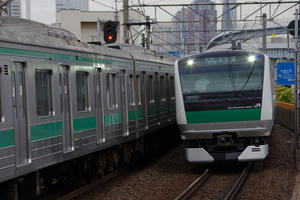 IMGP2701.JPG