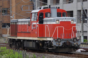 IMGP3014.JPG