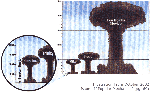 hiroshima.gif
