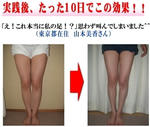 2010y10m26d_161237283.jpg