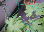 16e7f366.jpg