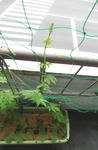 b63247e6.jpg