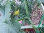 CIMG0260.JPG