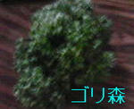 200707161740000.jpg