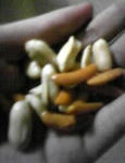 08103104.jpg