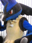 c3e00145.jpg