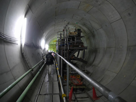 20100221-48.jpg