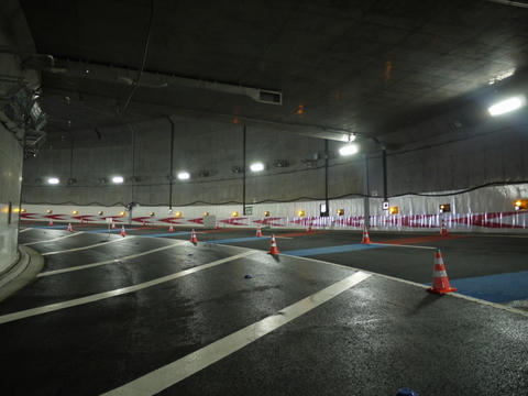 20100311-06.jpg