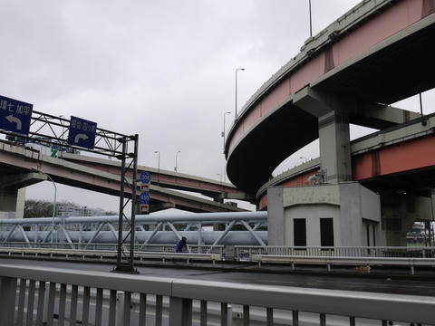 20100311-24.jpg