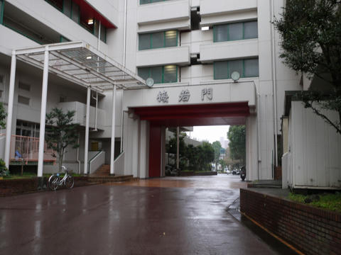 20100311-33.jpg