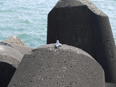 20100328-06.jpg