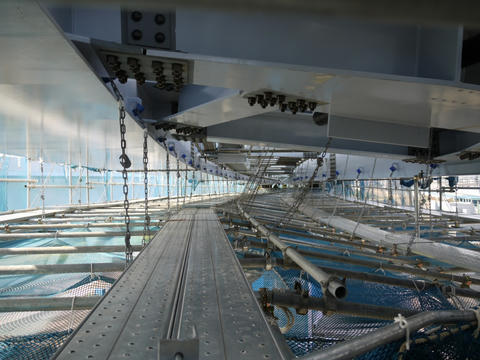 20100328-40.jpg