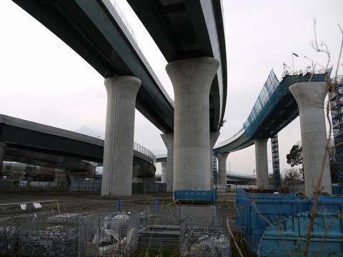 20100328-48.jpg