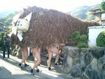 20071029_402564.jpg