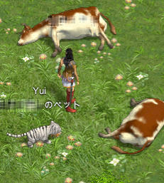 yui5.jpg