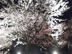 D1000039.JPG