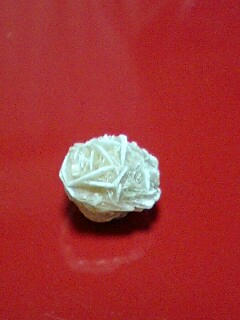 趣味5