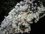 090405_184909_ed.jpg