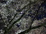767b8e76.jpg