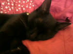 2009081511400000.jpg