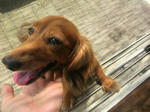 2009081511450000.jpg