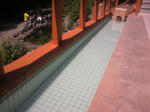 2009081711230000.jpg