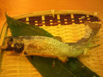 2009081712080000.jpg