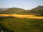 2009100316030001.jpg