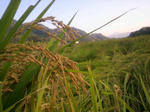 2009100316200000.jpg