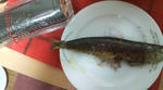 20100203192435.jpg