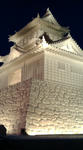 20090207171403.jpg