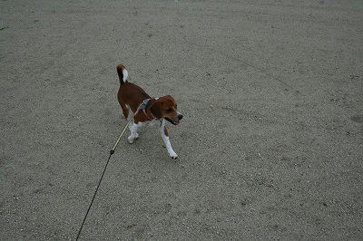 IMG_3937.jpg