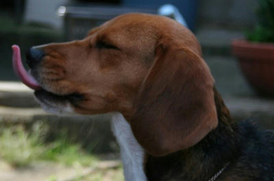 IMG_4472_edited.jpg