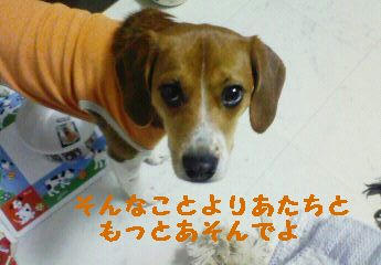 7133353e.JPG