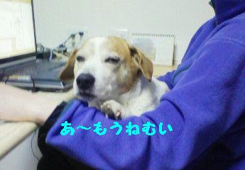 7ab01270.jpeg