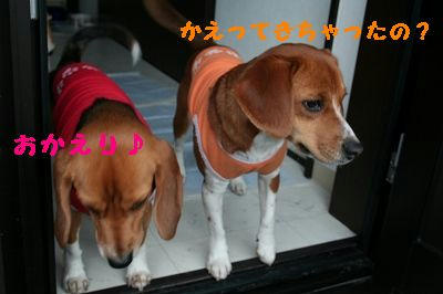 9878afa0.jpeg
