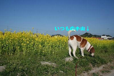 4882a6ba.jpg