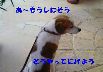 cef32ae3.JPG