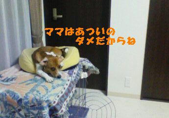 23b48661.jpeg