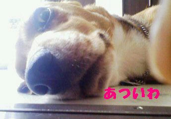 2a8d55fb.JPG