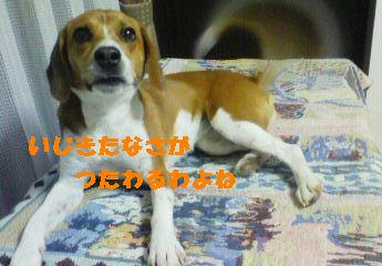 01f6c2b8.JPG