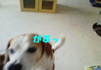 2facd83a.jpeg