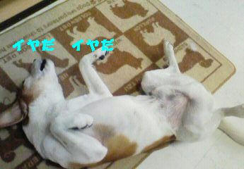 5ece9f81.JPG