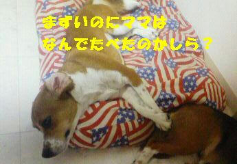 60cd3eeb.JPG