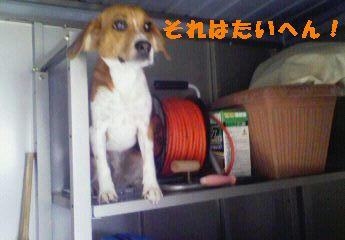 4b9a7e72.jpeg