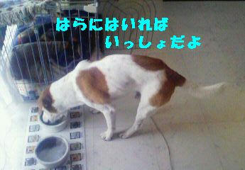 1f78d29b.jpeg