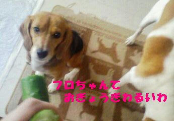 a6068033.jpeg