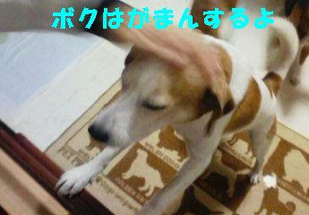 d6aa5c27.jpeg