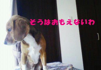 d19b024b.jpeg
