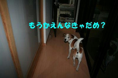 IMG_6945.jpg